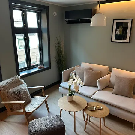 Authentic Historic Luxury House Bergen